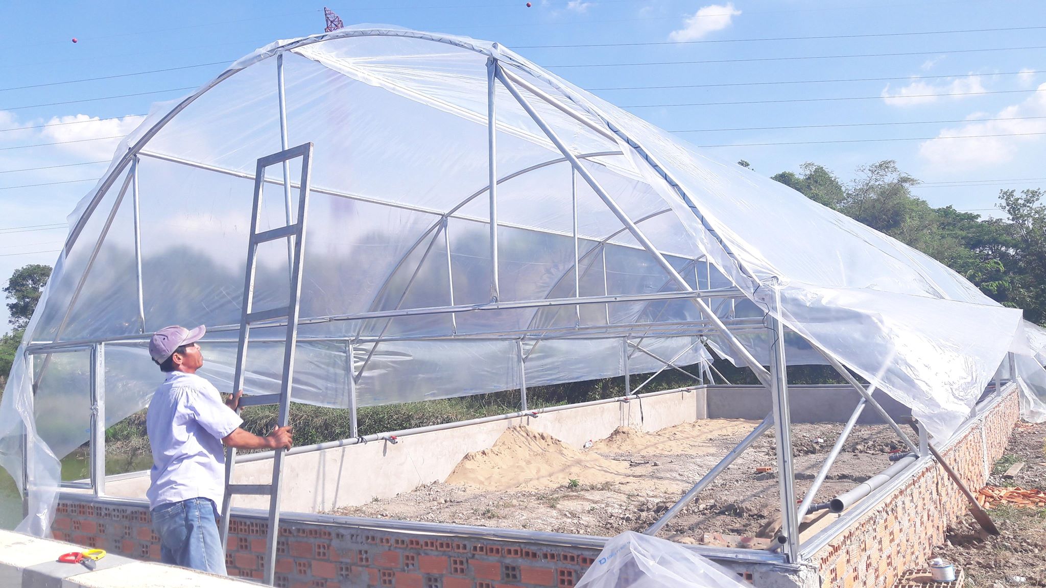 nhà kính nuôi cá lóc bố mẹ