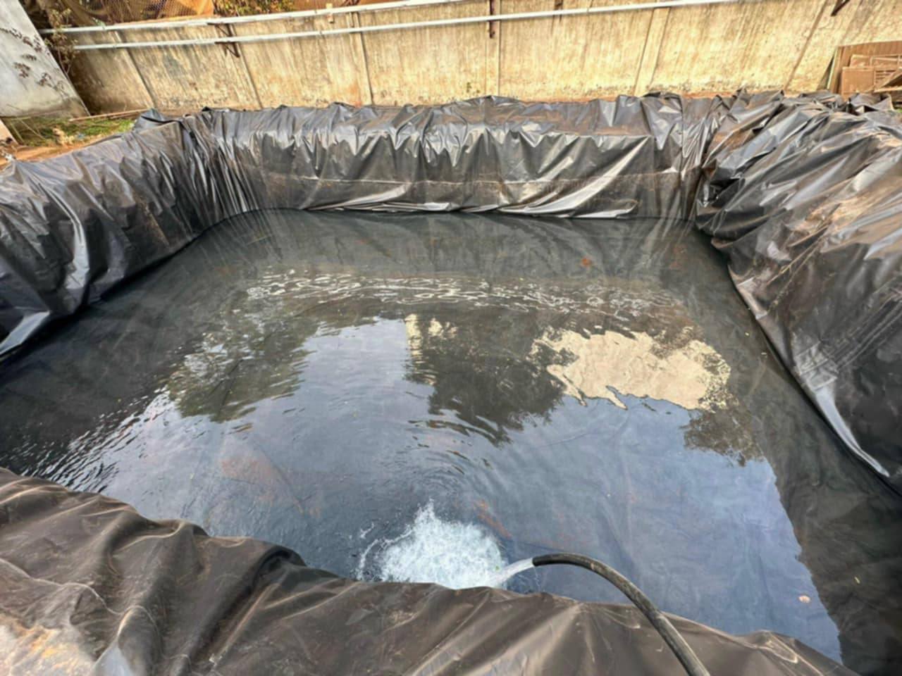 tiến hành thay nước và vệ sinh bể định kỳ