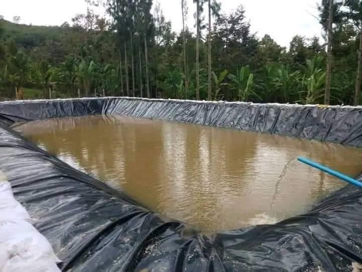 chọn vị trí nuôi thích hợp