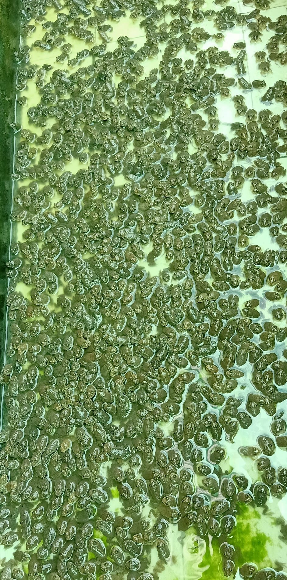 có kinh nghiệm hỗ trợ bà con