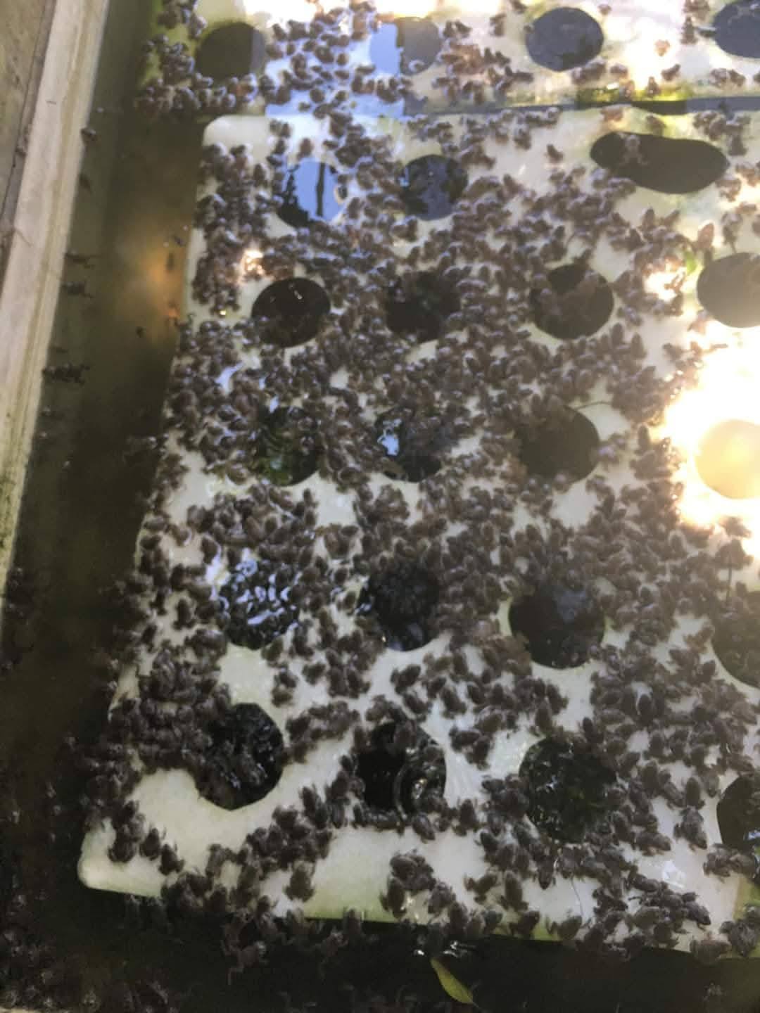 cung cấp đầy đủ size từ nhỏ đến lớn