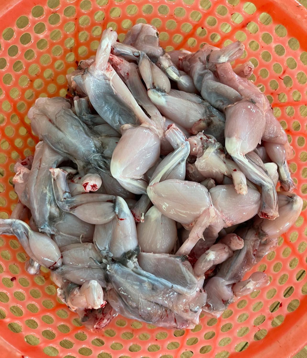 liên hệ chúng tôi để đặt hàng