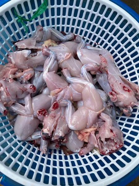 ship hàng toàn quốc