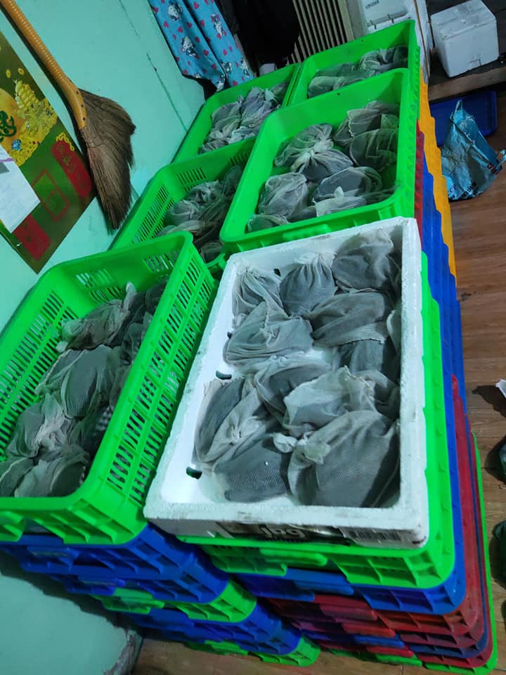 cung cấp giống baba kích thước lớn theo yêu cầu