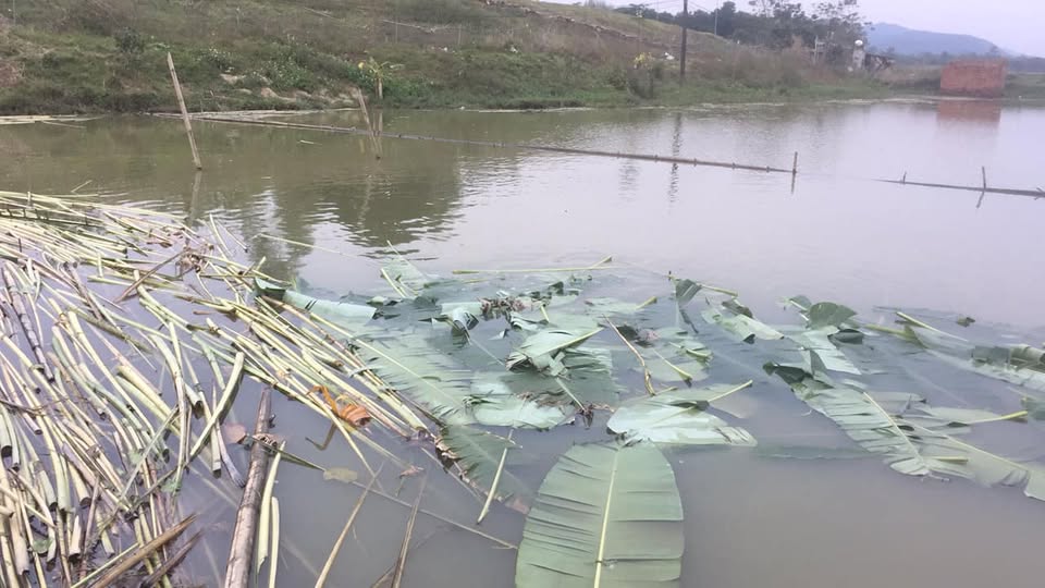 kiểm soát tránh ô nhiễm nguồn nước