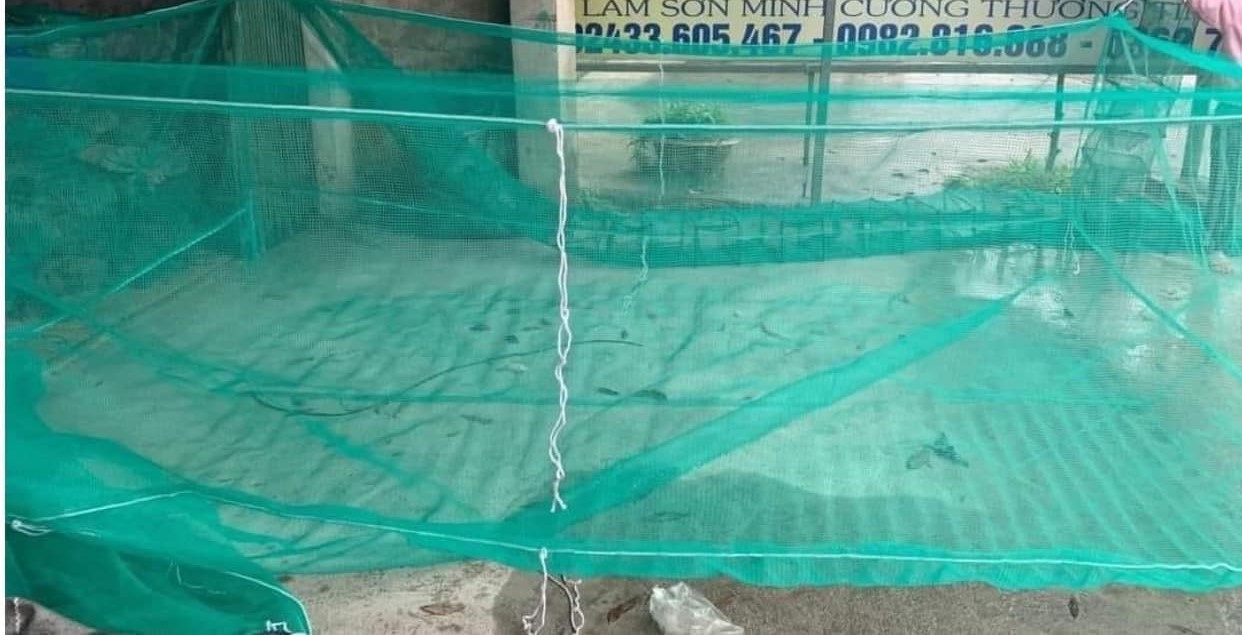 nên dùng thêm vèo lưới dự trữ