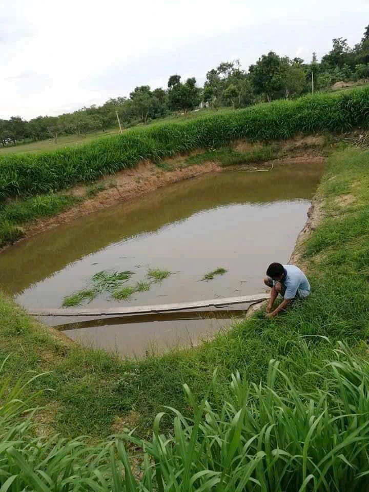 thiết kế ao nuôi với nguồn nước đảm bảo