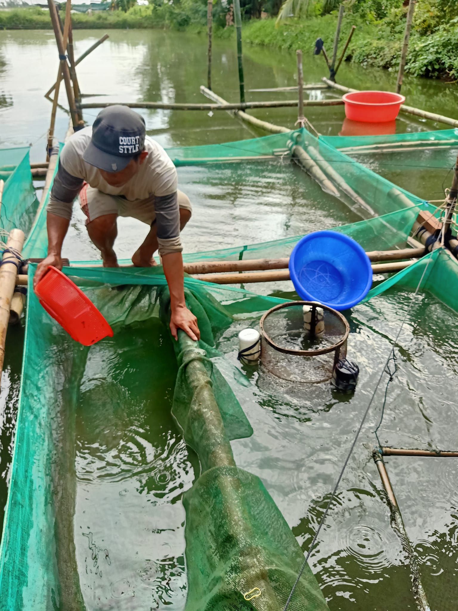 vệ sinh vèo lưới thường xuyên để tránh ô nhiễm