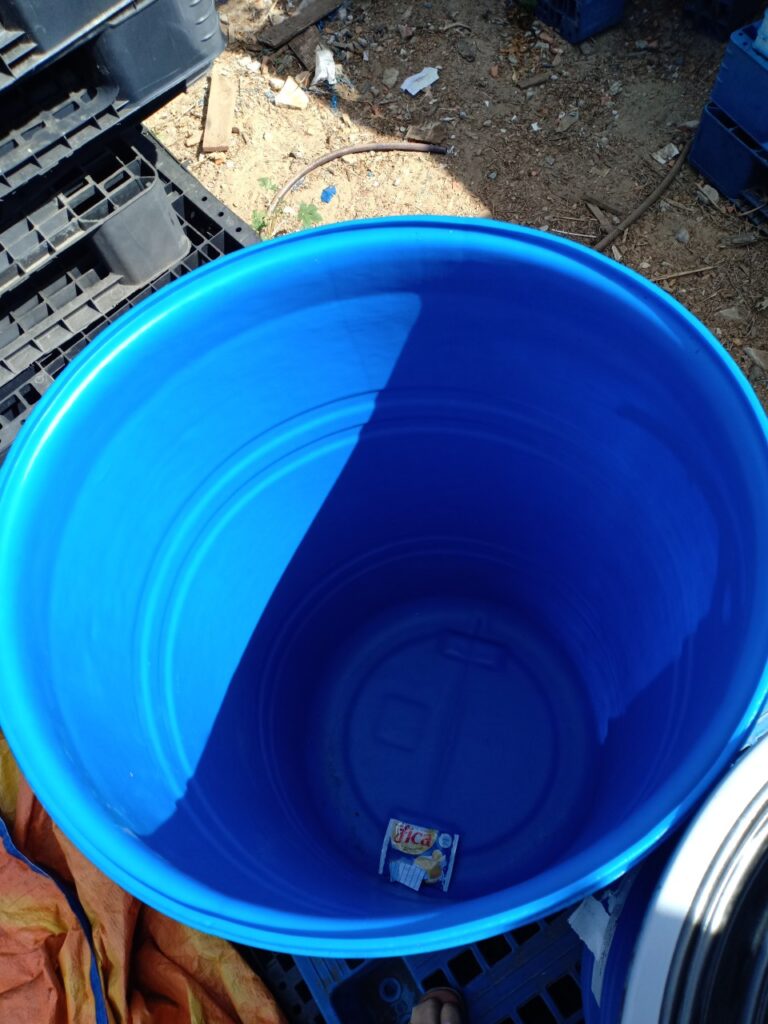 nuôi cá tai tượng trong thùng nhựa