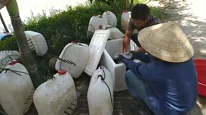 mô hình đầu tư thấp nhưng lợi nhuận cao