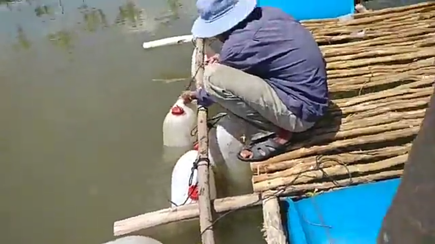 quá trình cho ăn không quá vất vả