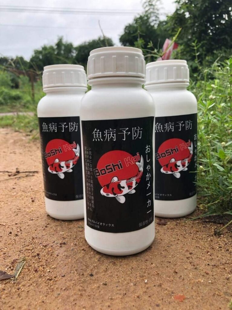 thuốc phòng bệnh cho cá koi