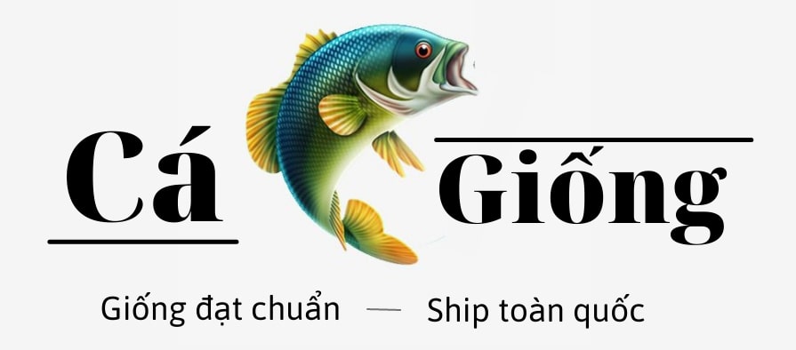 trại cá giống nước ngọt Quang Nguyên